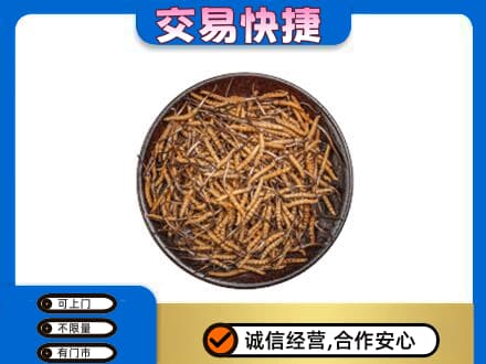 印江县礼品回收虫草.jpg